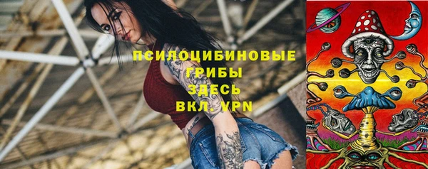 альфа пвп Алексеевка