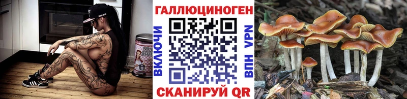 даркнет сайт  Инта  Галлюциногенные грибы Magic Shrooms 